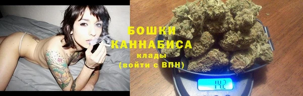 винт Осташков