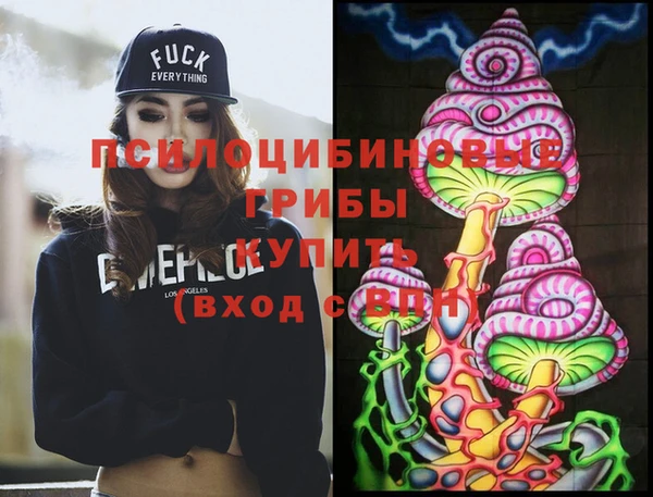 таблы Няндома