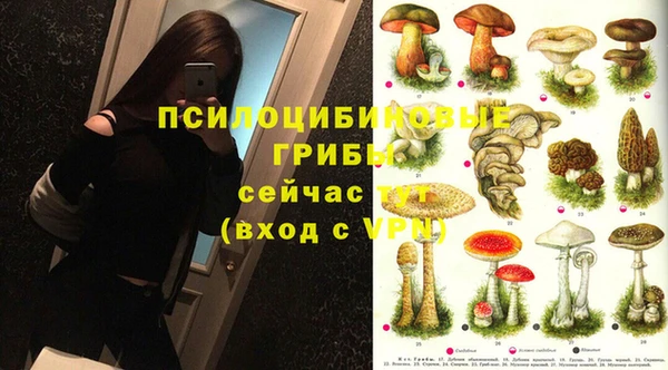 герыч Нязепетровск