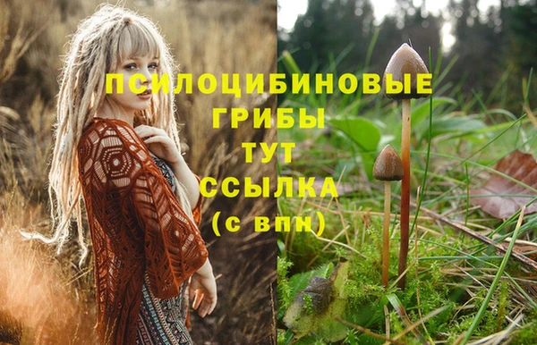 герыч Нязепетровск