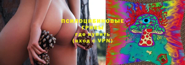 винт Осташков