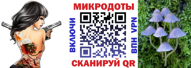 наркота  Выборг  Галлюциногенные грибы мухоморы 