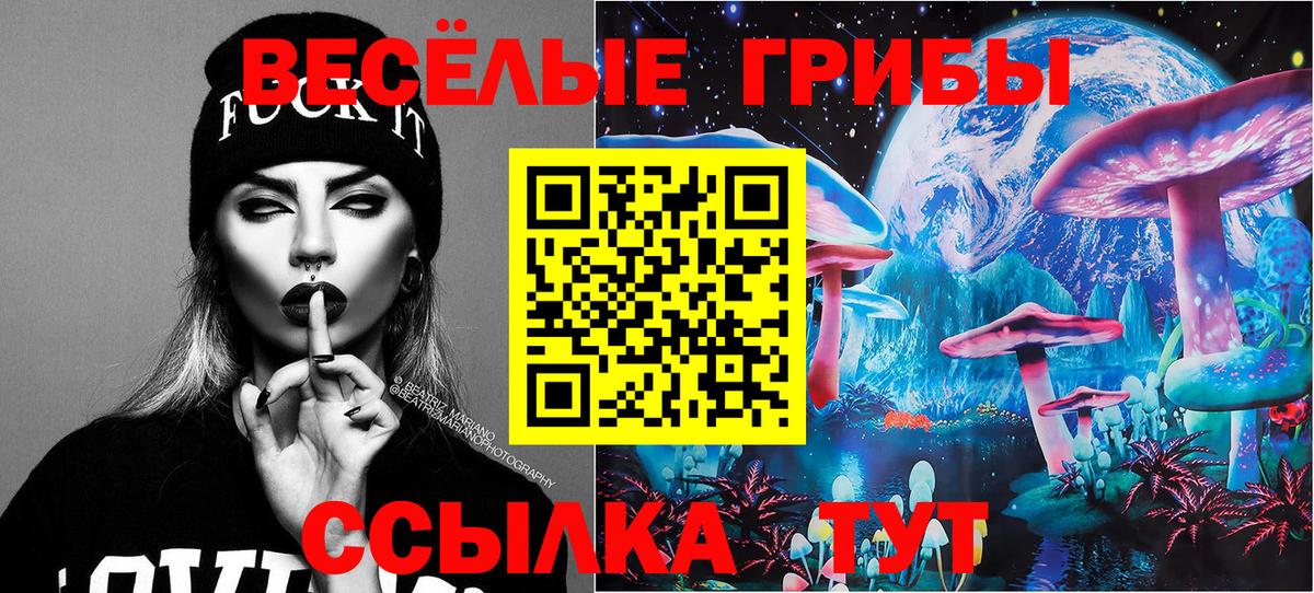 Псилоцибиновые грибы мухоморы Выборг