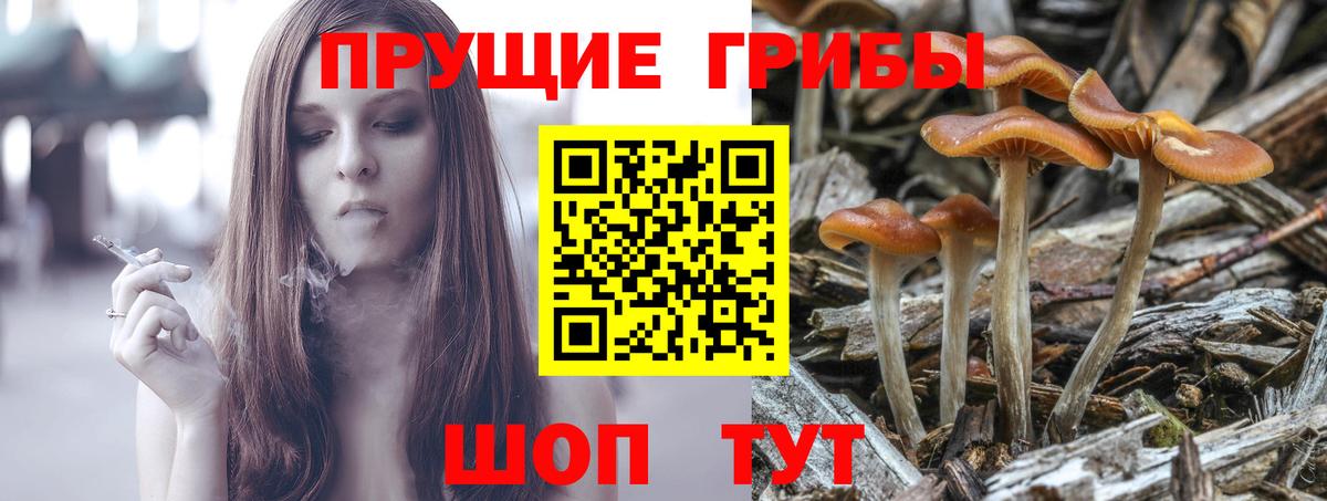 Галлюциногенные грибы ЛСД Выборг