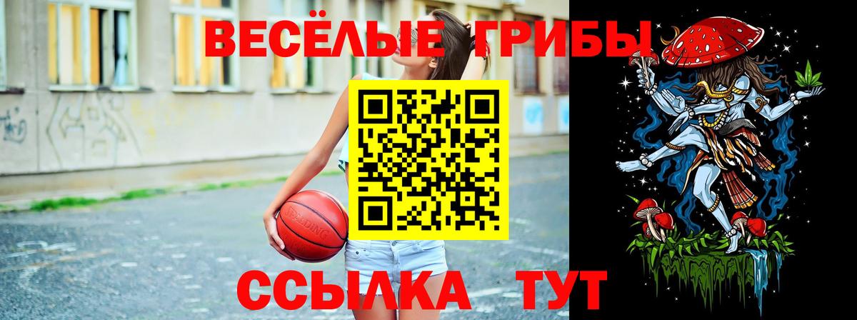 Псилоцибиновые грибы прущие грибы  Вход с VPN  Выборг 