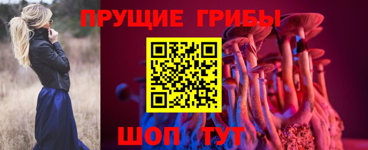 Псилоцибиновые грибы Psilocybe  Псилоцибиновые грибы мицелий  Выборг 