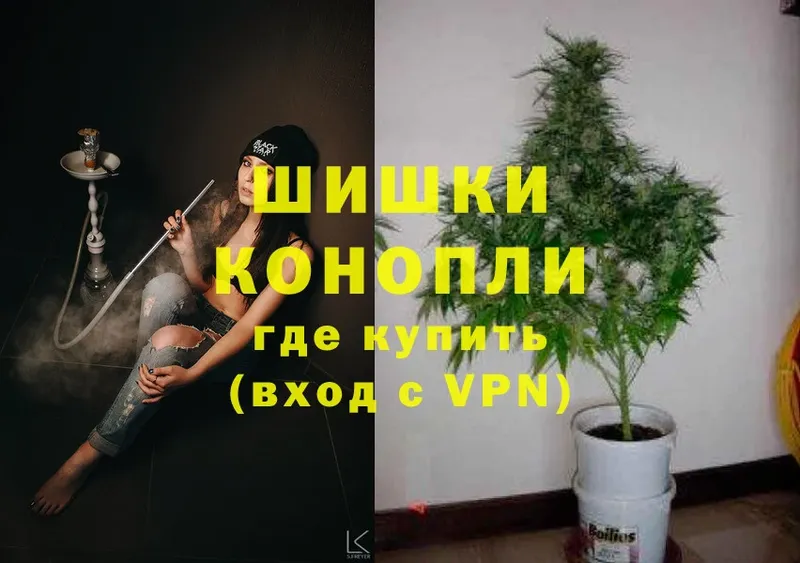 Шишки марихуана Ganja  Выборг 